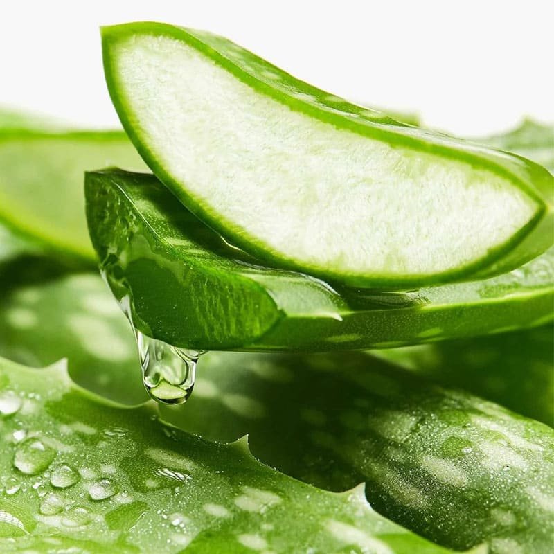 Aloe Vera Extract