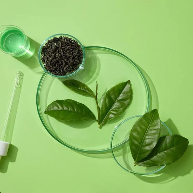Green Tea Extract — Customization Details for Anti Oxidation