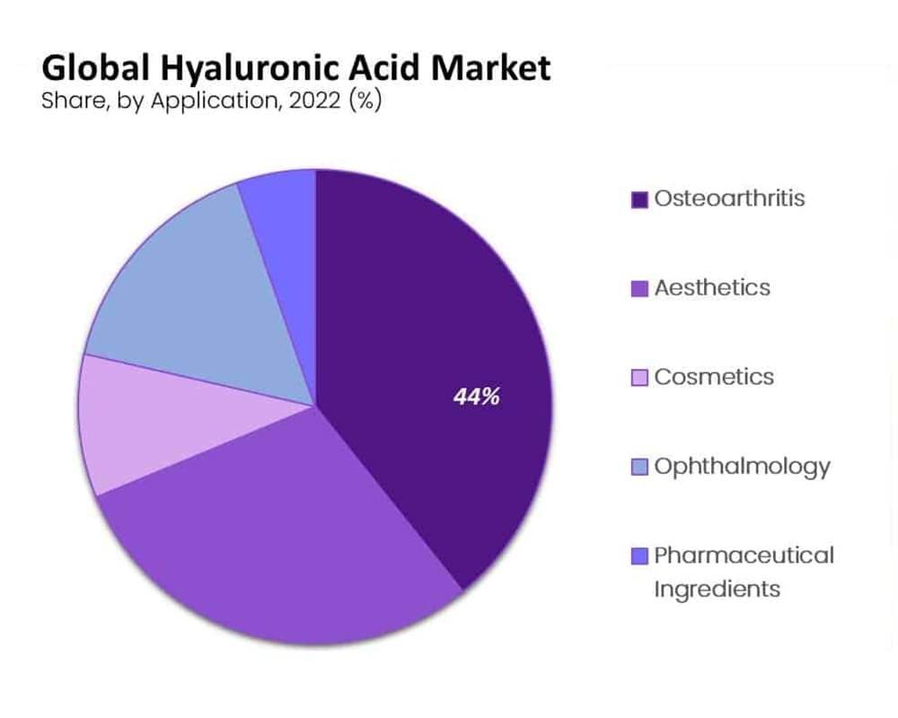 The Personal Care Segment Covers Major Share in Hyaluronic Acid Market