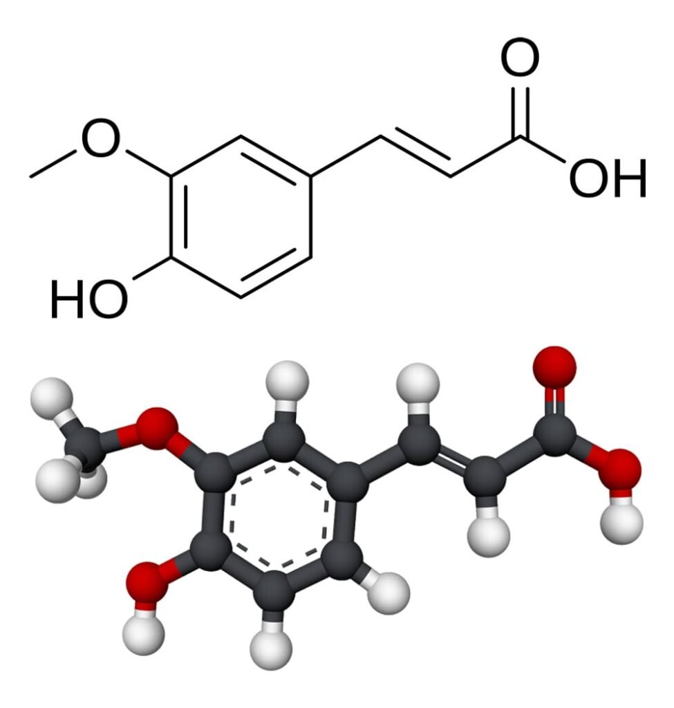 What Is Ferulic Acid