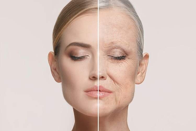 Anti-Aging & Collagen Protection