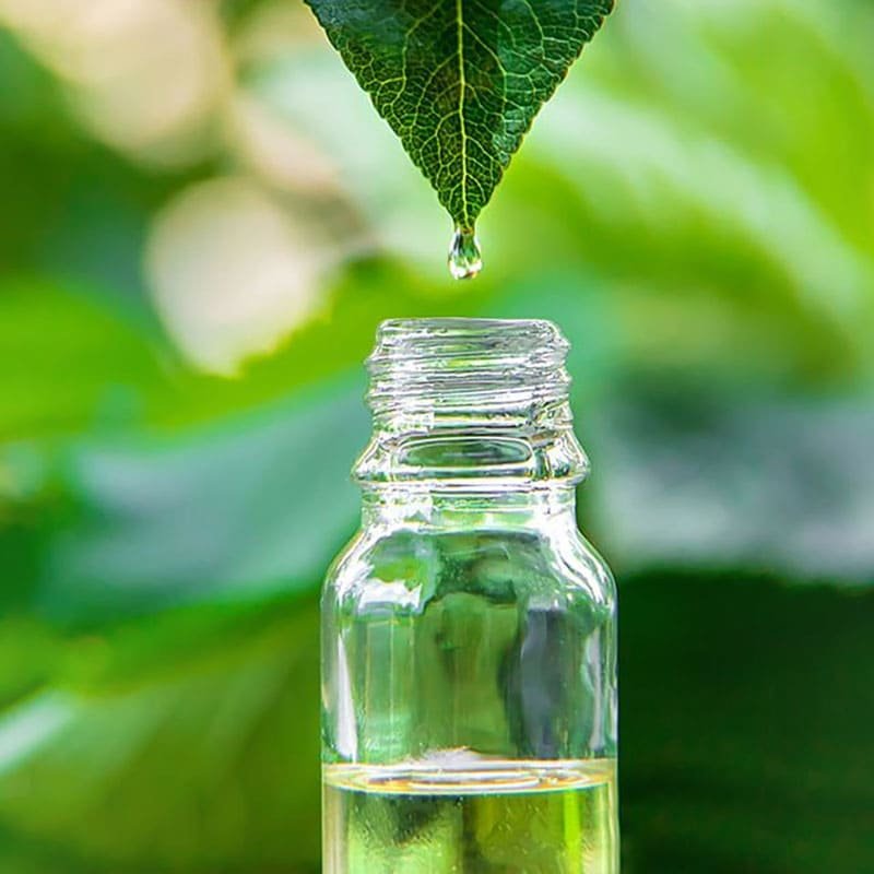 Tea Tree Oil Market Formulation Insights